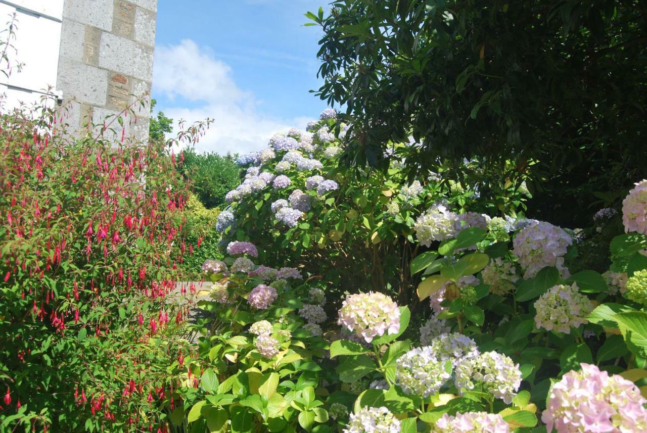 B&B Le Mesnil Saint-Senier-sous-Avranches 외부 사진